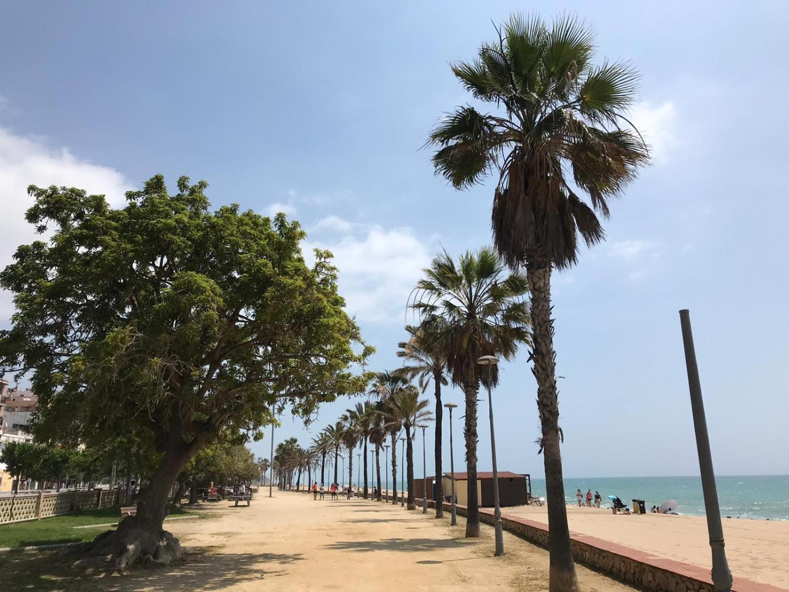 Apartamento Frente Al Mar Canet De Mar Eksteriør billede